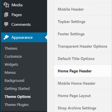 Home Page Header Menu Item